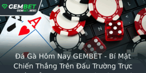 A Ga Hom Nay Gembet Bi Mat Chien Thang Tren Au Truong Truc Tuyen E Chinh Phuc Nha Cai Uy Tin
