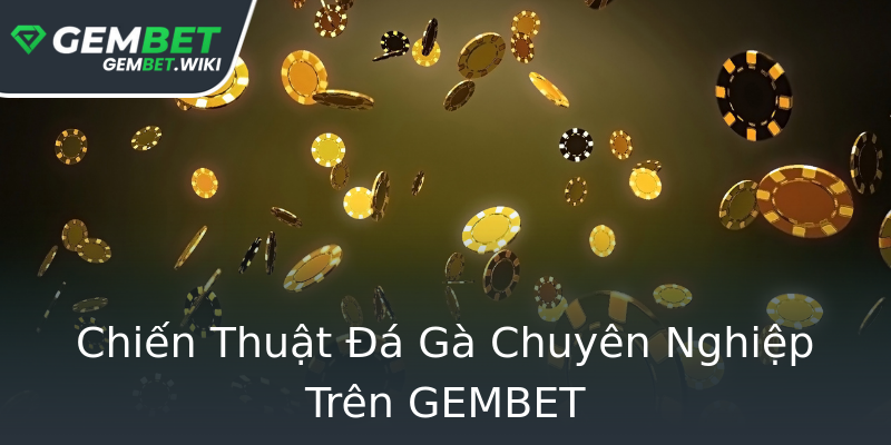 Chiến Thuật Đá Gà Chuyên Nghiệp Trên GEMBET Chiến Thuật Đá Gà Chuyên Nghiệp Trên GEMBET