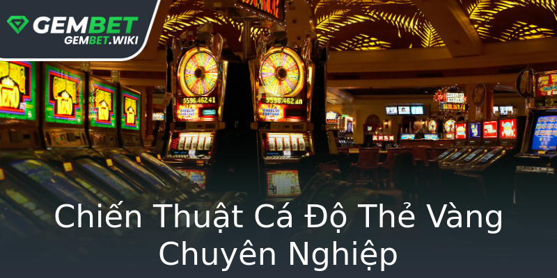 Chiến Thuật Cá Độ Thẻ Vàng Chuyên Nghiệp Chiến Thuật Cá Độ Thẻ Vàng Chuyên Nghiệp
