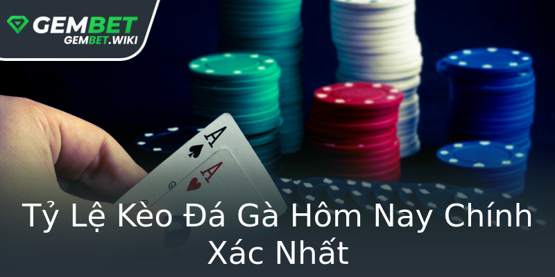 Tỷ Lệ Kèo Đá Gà Hôm Nay Chính Xác Nhất Tỷ Lệ Kèo Đá Gà Hôm Nay Chính Xác Nhất